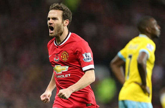 宠物对运动 宠物对运动